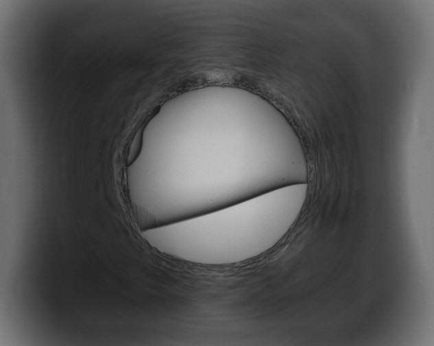 X0000100391249200806060826