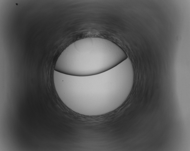 X0000100391250200806060826