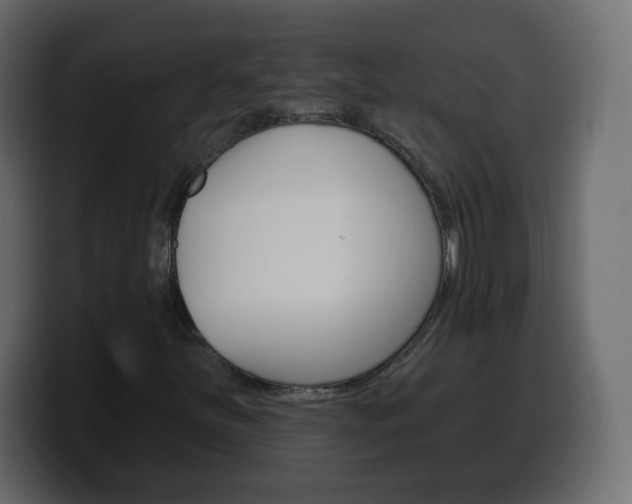 X0000100391251200806060826