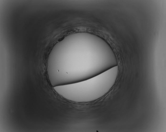 X0000100391253200806060826