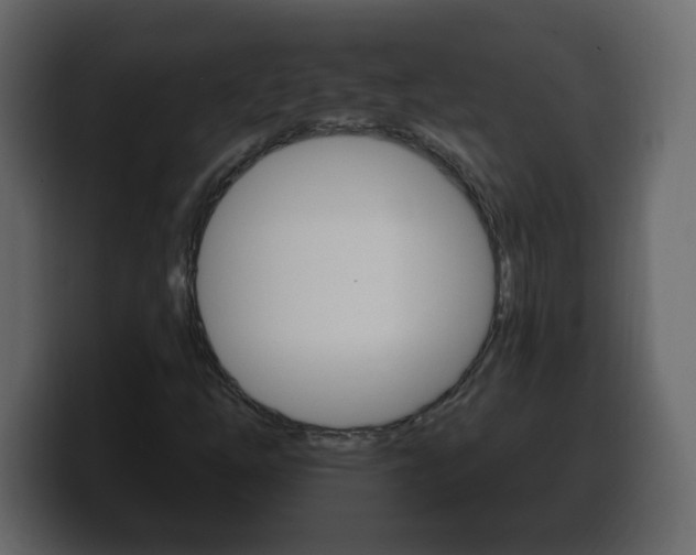 X0000100391254200806060826