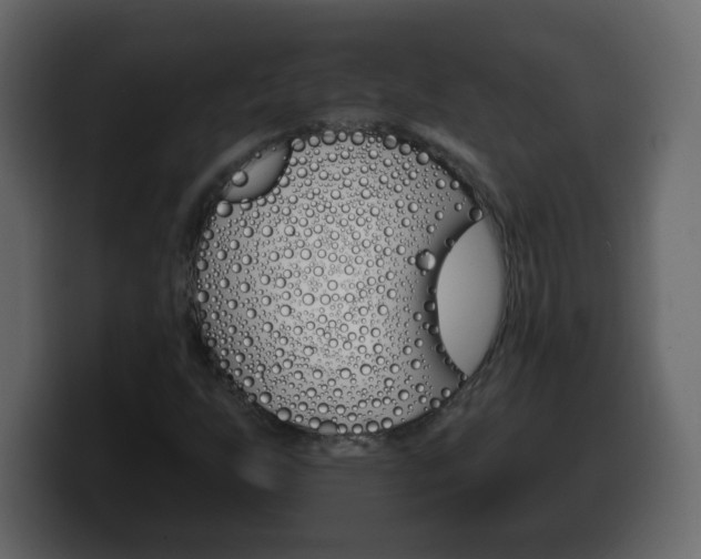 X0000100391255200806060826