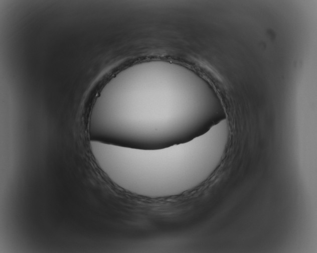 X0000100391256200806060826