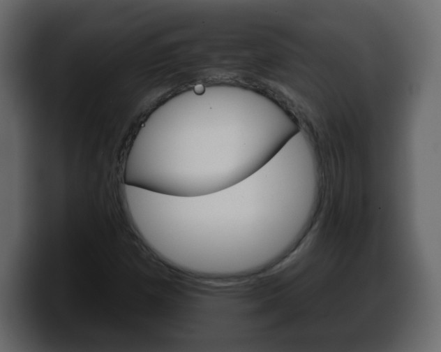 X0000100391257200806060826
