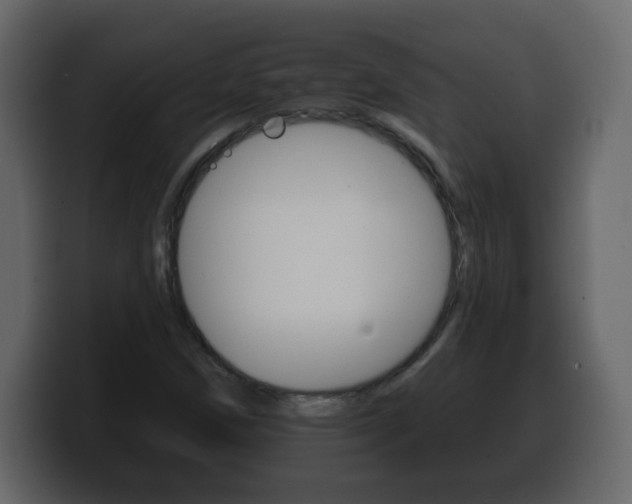 X0000100391258200806060826