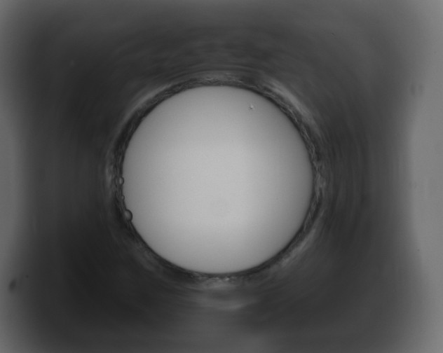 X0000100391259200806060826