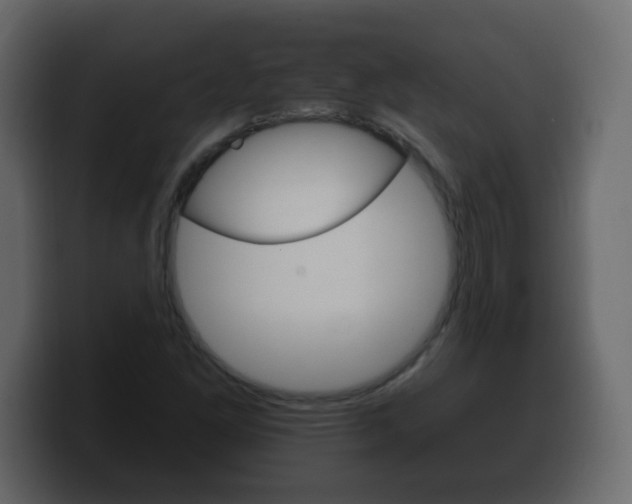 X0000100391261200806060826