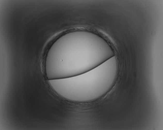 X0000100391262200806060826