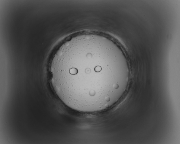 X0000100391263200806060826