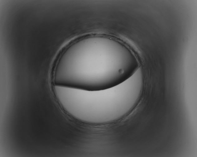 X0000100391264200806060826
