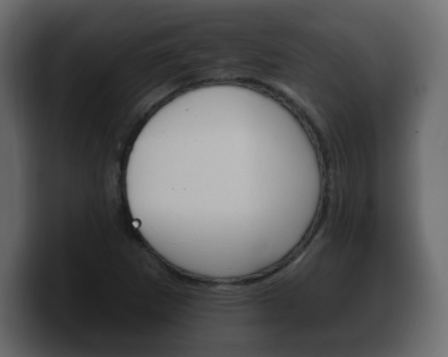 X0000100391265200806060826