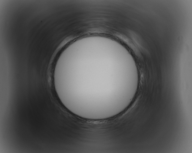 X0000100391266200806060826
