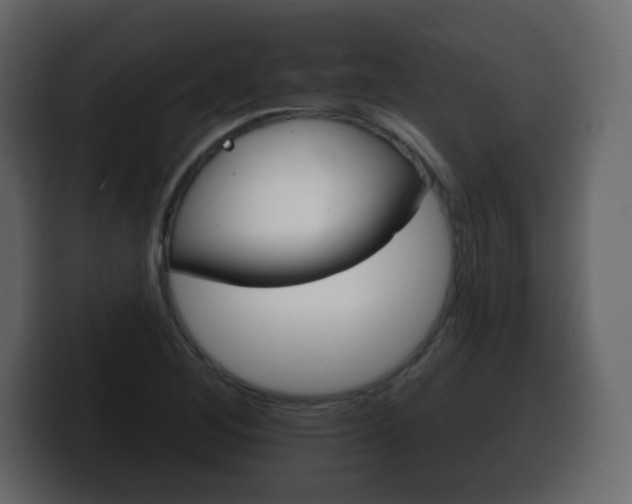X0000100391268200806060826
