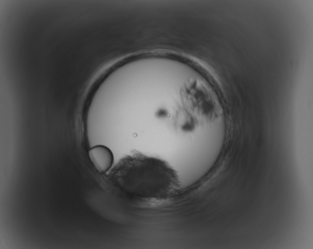 X0000100391271200806060826