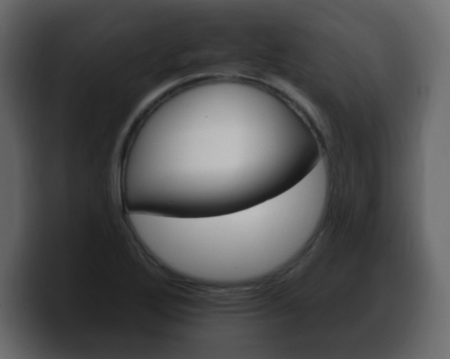 X0000100391272200806060826