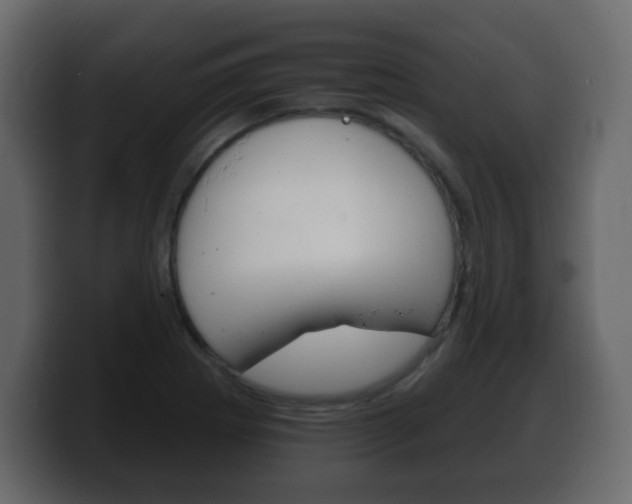 X0000100391273200806060826