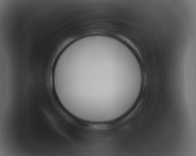 X0000100391274200806060826