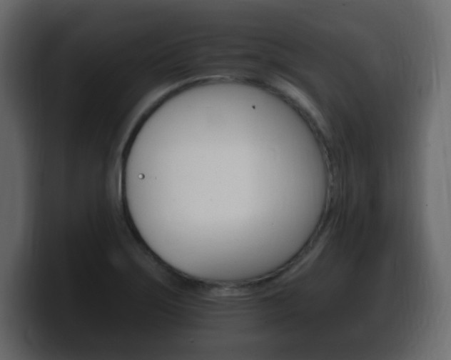 X0000100391275200806060826