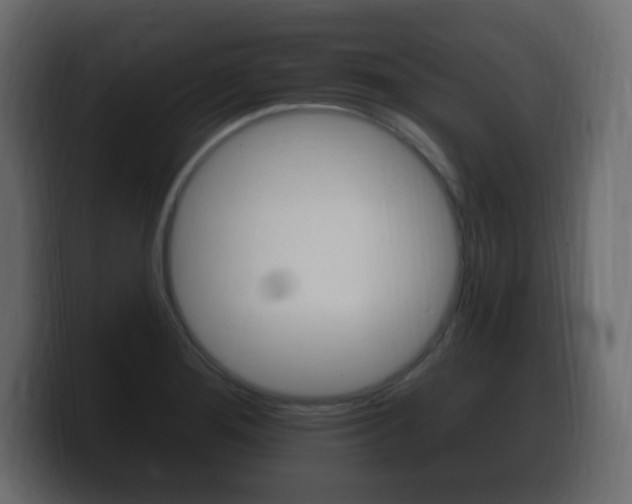 X0000100391276200806060826