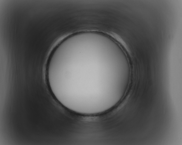 X0000100391277200806060826