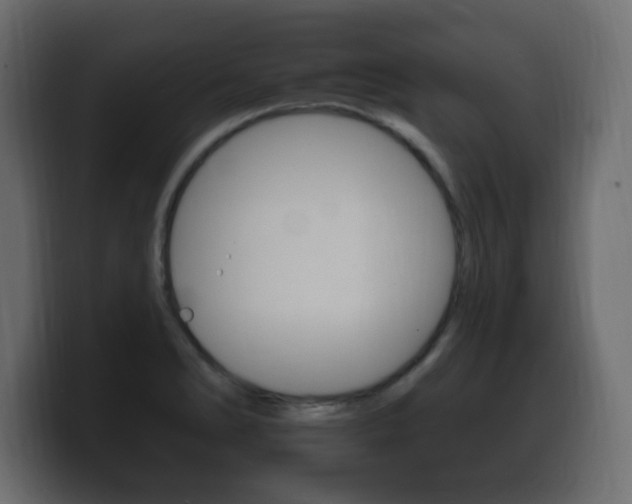 X0000100391278200806060826