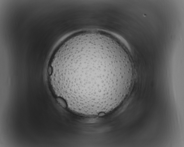 X0000100391279200806060826