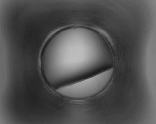 X0000100391280200806060826