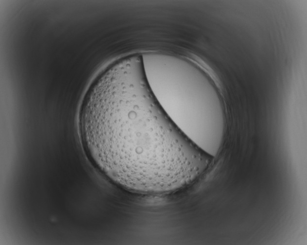 X0000100391283200806060826