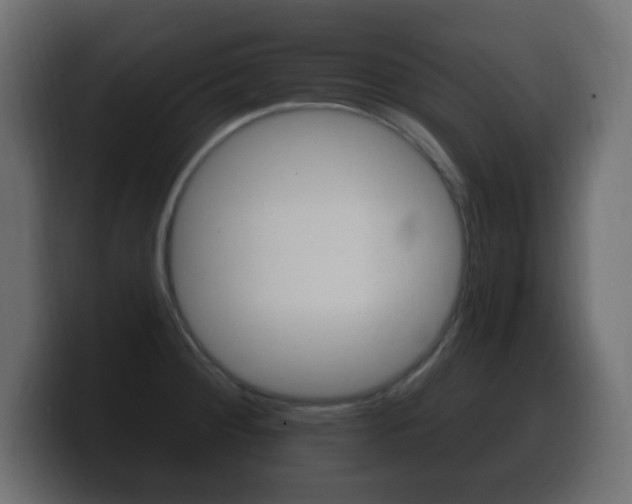 X0000100391284200806060826