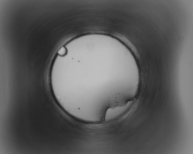 X0000100391285200806060826
