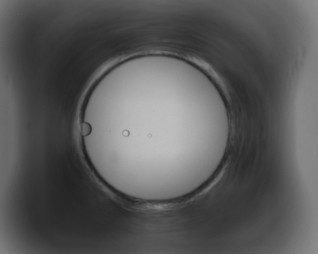 X0000100391286200806060826