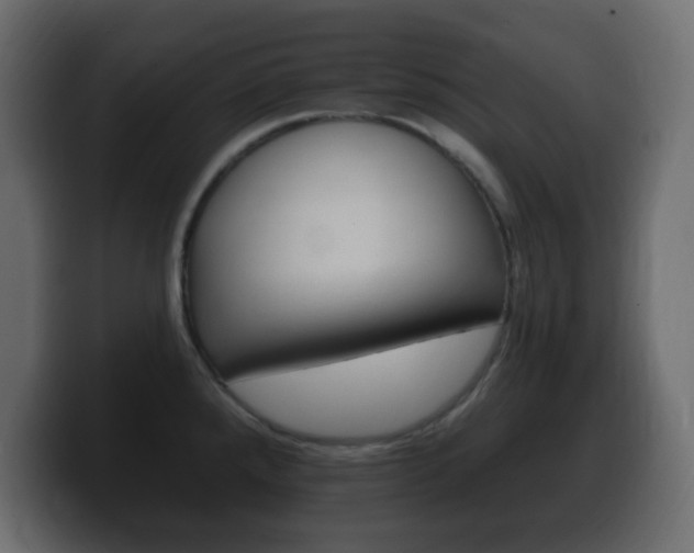 X0000100391288200806060826