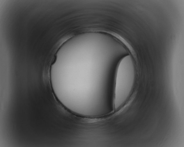 X0000100391289200806060826