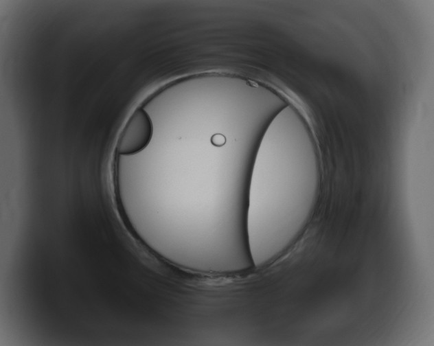 X0000100391291200806060826