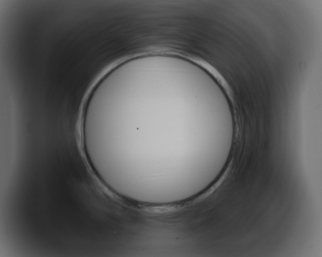 X0000100391294200806060826