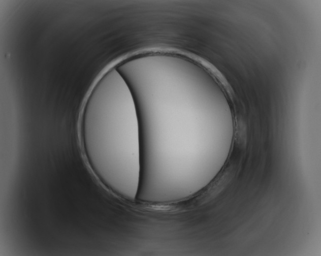 X0000100391295200806060826