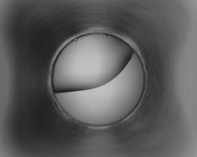 X0000100391296200806060826