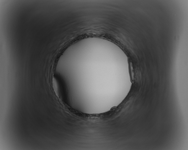 X0000100391297200806060825