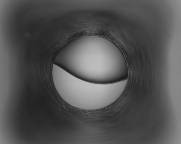 X0000100391298200806060825