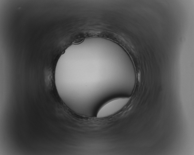 X0000100391299200806060825