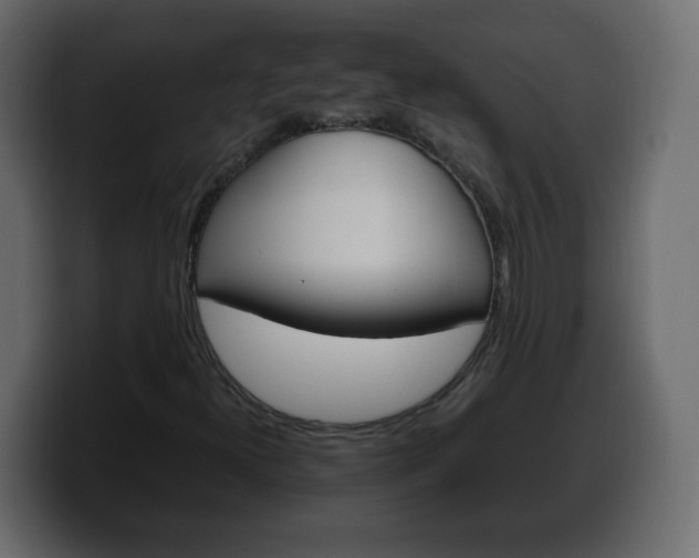 X0000100391300200806060825