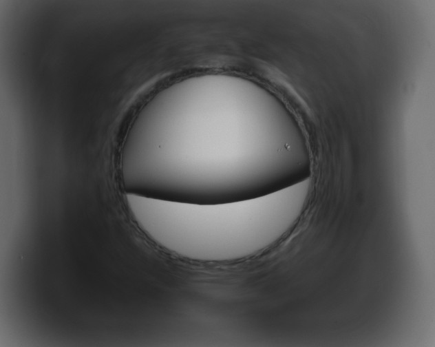 X0000100391304200806060825