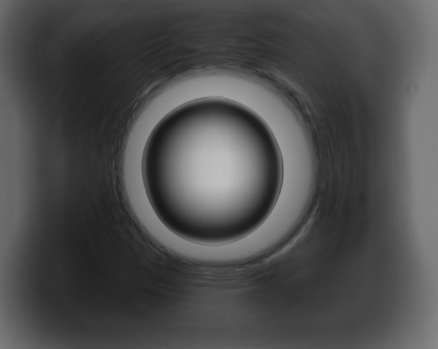 X0000100391305200806060825