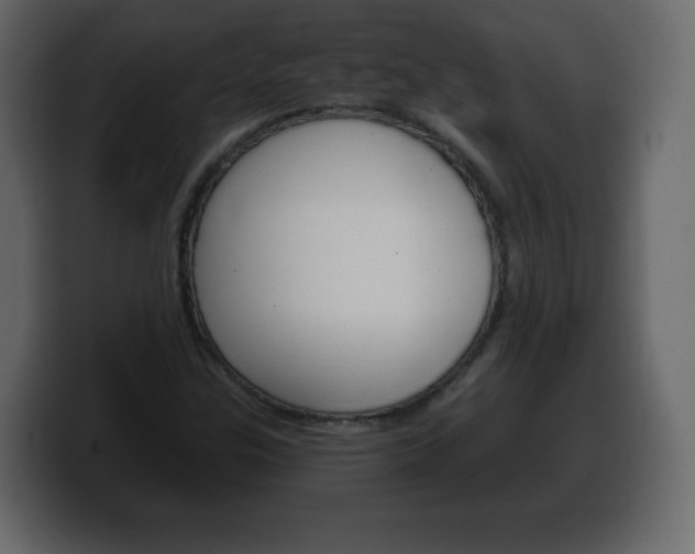 X0000100391307200806060825