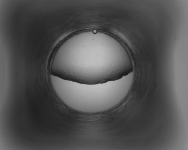 X0000100391308200806060825