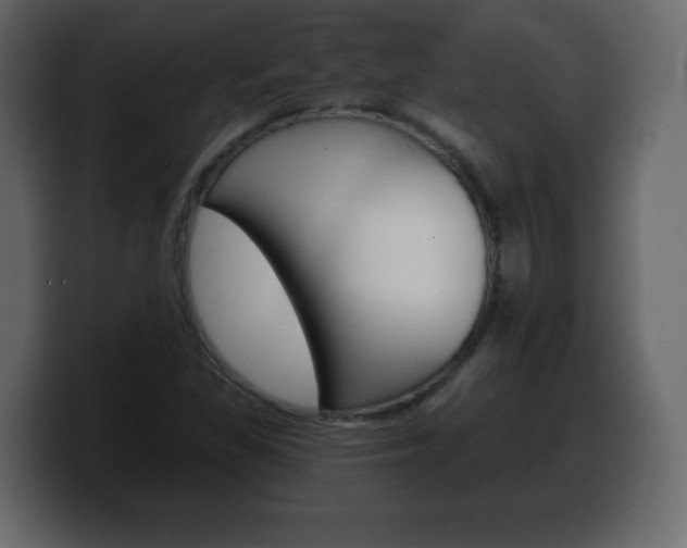 X0000100391309200806060825