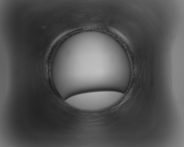 X0000100391310200806060825