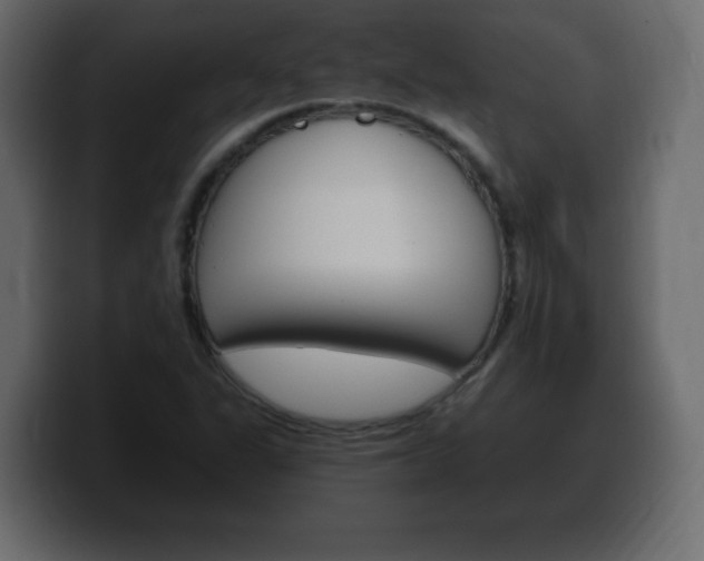 X0000100391311200806060825