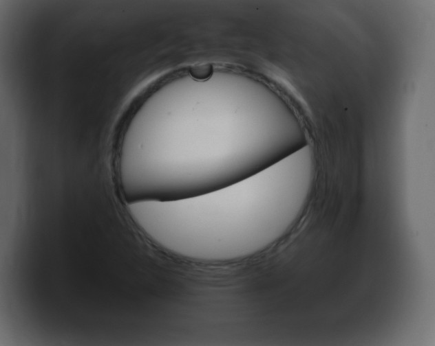 X0000100391312200806060825
