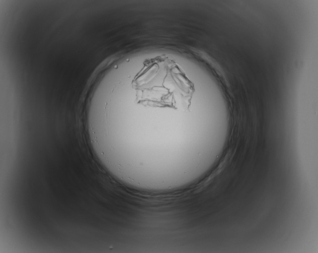 X0000100391314200806060825